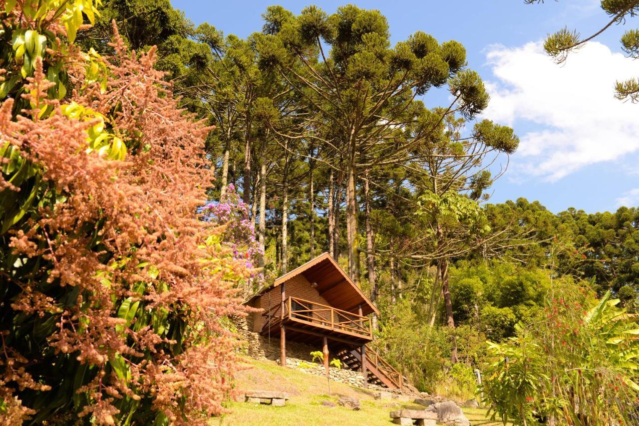 Villa Chales Araucaria E Manaca São Bento do Sapucaí Exterior foto