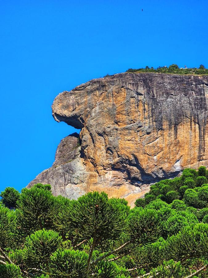 Villa Chales Araucaria E Manaca São Bento do Sapucaí Exterior foto