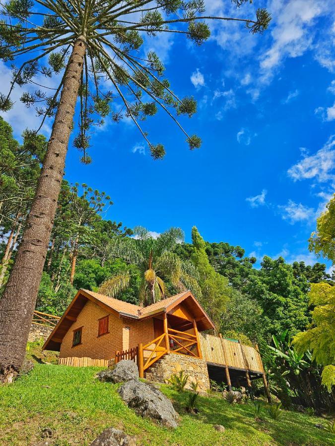 Villa Chales Araucaria E Manaca São Bento do Sapucaí Exterior foto