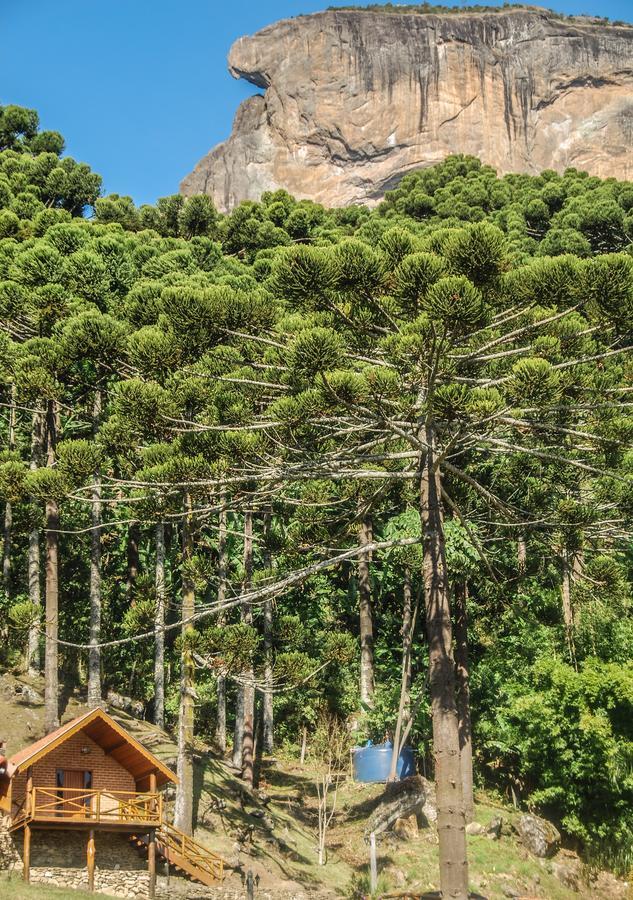 Villa Chales Araucaria E Manaca São Bento do Sapucaí Exterior foto