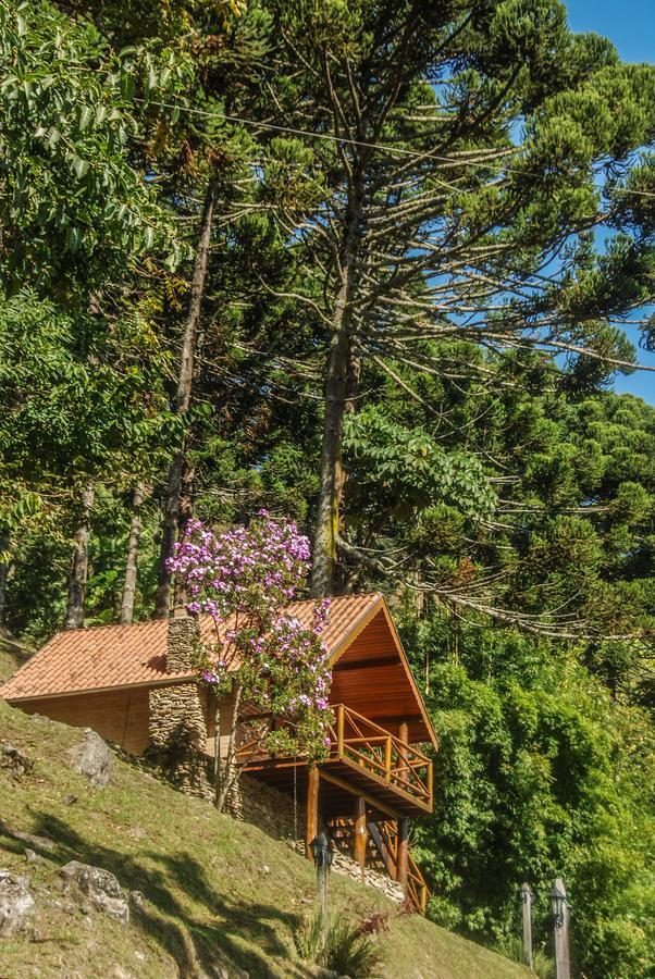 Villa Chales Araucaria E Manaca São Bento do Sapucaí Exterior foto